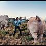 Man taking on Rhinos